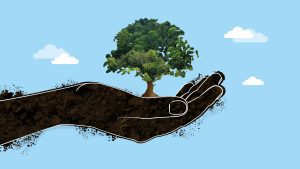 India strengthens efforts to combat climate change and environmental challenges
