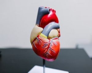 Research examines better screening methods for statin use