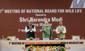 "Significant deliberations...": PM Modi after National Board for Wildlife meeting in Gir