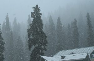 Fresh snowfall in Kashmir's higher reaches as rain showers lash J&K