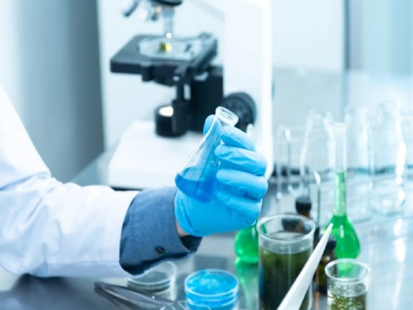 MIT researchers devise process to convert skin cells directly into neurons