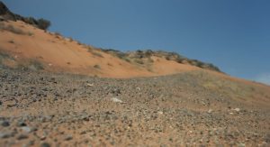 Ancient Desert Crossroads: Faya Site Reveals Humanity's 210,000-Year Desert Adaptation
