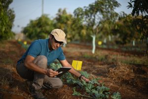 Digital Crop Survey (DCS) System launched to ensure accurate crop data collection