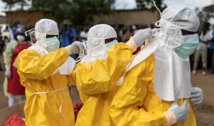 Hantavirus Alert: Dutch Hospital Places 12 Staff Members in Quarantine