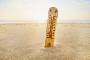 IMD issues heatwave and weather warnings for multiple regions
