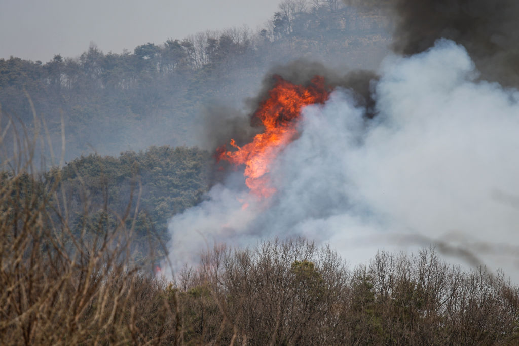 South Korea: Wildfires becoming uncontrollable in Uiseong