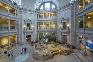 Trump orders elimination of 'anti-American ideology' from Smithsonian institutions