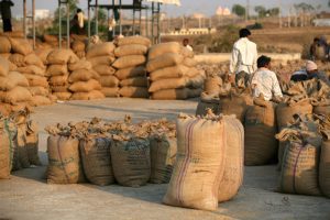 India's agricultural and processed food exports see strong growth in FY2024