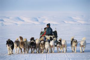Trump pushes US claims to Greenland as territory's leaders lambast US delegation trip