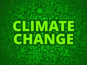 Can carbon pricing curb climate change and where does India stand?