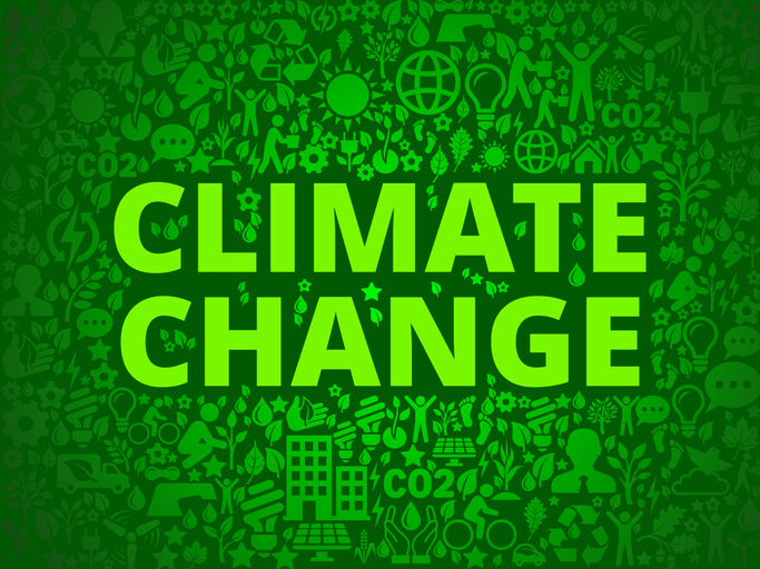 Can carbon pricing curb climate change and where does India stand?