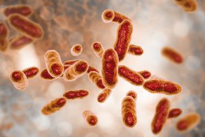 Rural communities at high risk of scrub typhus infections: study
