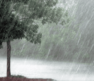 Unseasonal rain cause huge crop loss in Telangana