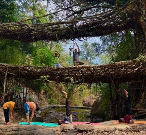 Yoga Meets Nature: NEIAH hosts event at Meghalaya's living root bridge ahead of International Yoga Day 2025