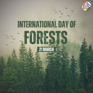 International Day of Forests 2025: India’s holistic strategy integrates forests, food, and livelihoods
