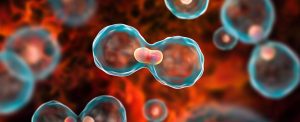 Scientists create novel method to identify healthy and cancerous cells