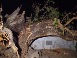 More than 100 people killed after heavy rain hits India, Nepal