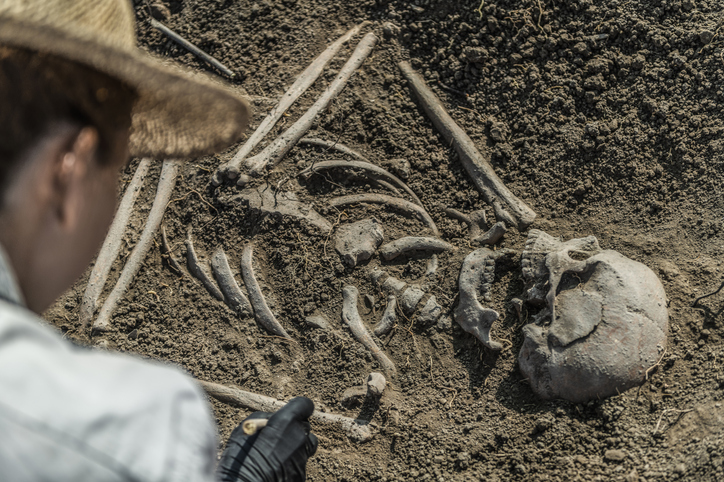 Jawbone from Taiwan shows geographic reach of enigmatic archaic humans