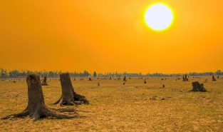 Climate Change and Heatwaves: The daily struggle across South Asia
