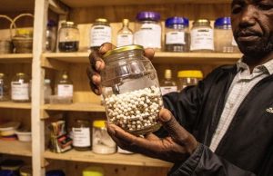 Kenyan farmers use traditional seeds to fight hunger, climate change