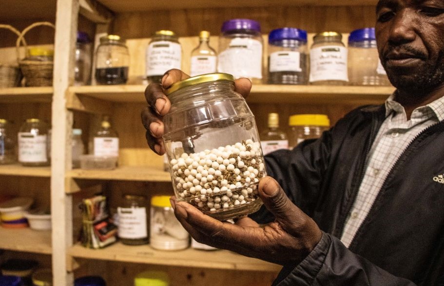 Kenyan farmers use traditional seeds to fight hunger, climate change