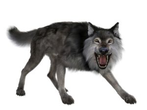 US company resurrects the extinct dire wolf, or some version of it