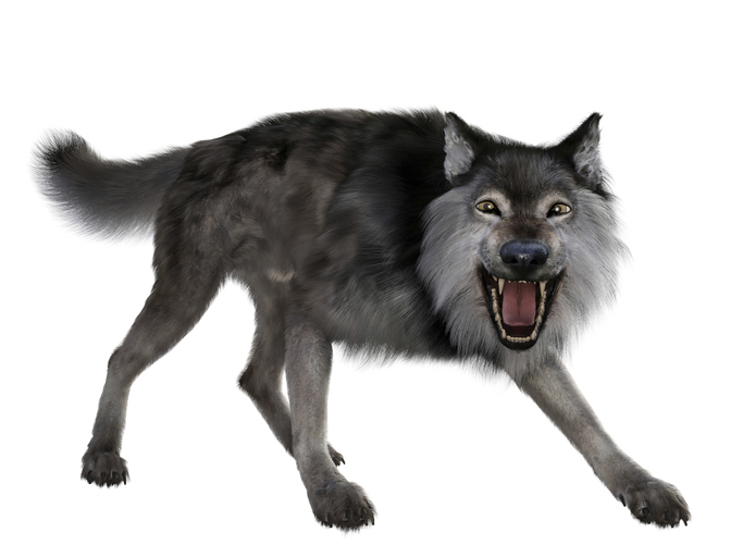 US company resurrects the extinct dire wolf, or some version of it