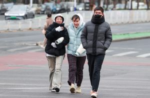 Cold winds sweep Beijing, closing key sites, disrupting travel