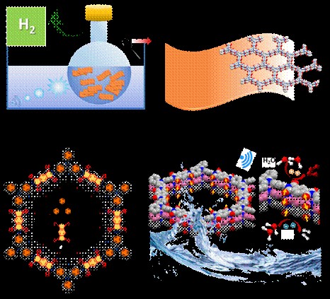 Indian scientists develop groundbreaking metal-free catalyst for hydrogen fuel production