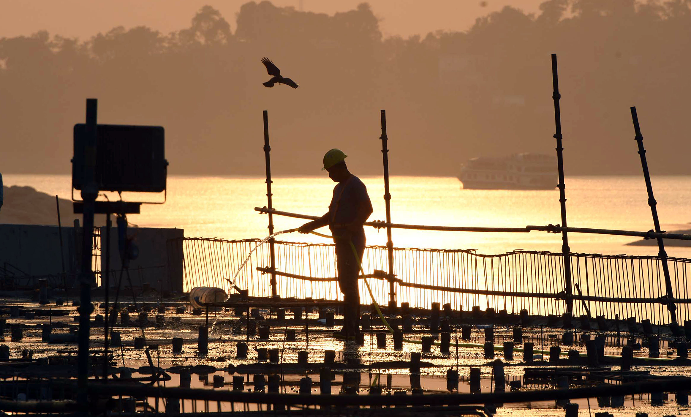 NSO revamps PLFS from 2025; Monthly labour market estimates to aid real-time policy decisions