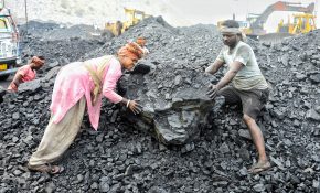 India’s labour force participation hits six-month high; female workforce continues upward trend