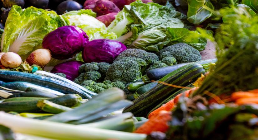 Healthy childhood diet linked to later onset of menstruation in girls: Study