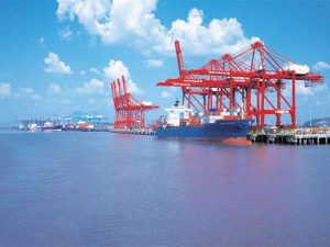 India’s major ports set record in FY 2024-25, cementing a decade of maritime growth