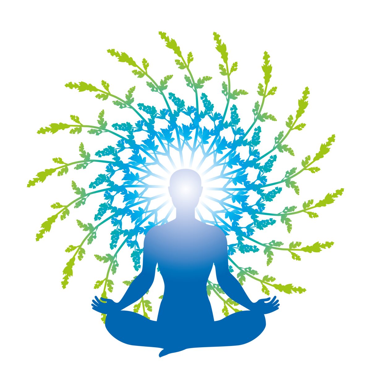 Youth-centric ‘Yoga Unplugged’ gains momentum ahead of International Day of Yoga 2025