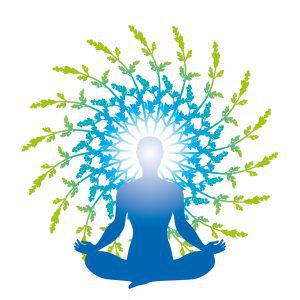Youth-centric ‘Yoga Unplugged’ gains momentum ahead of International Day of Yoga 2025
