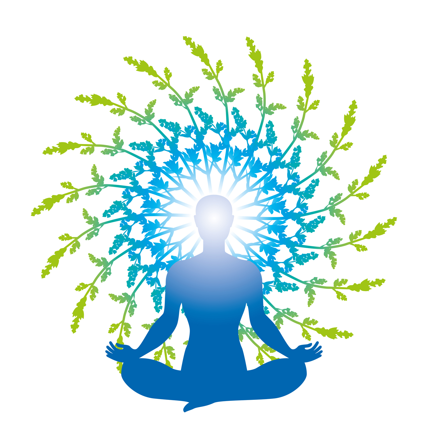 Youth-centric ‘Yoga Unplugged’ gains momentum ahead of International Day of Yoga 2025