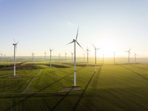 Democratic-led states sue to block Trump's halting of wind projects