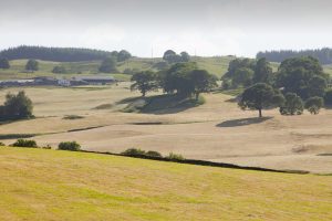 Drought declared for northwest England amid sunniest spring on record