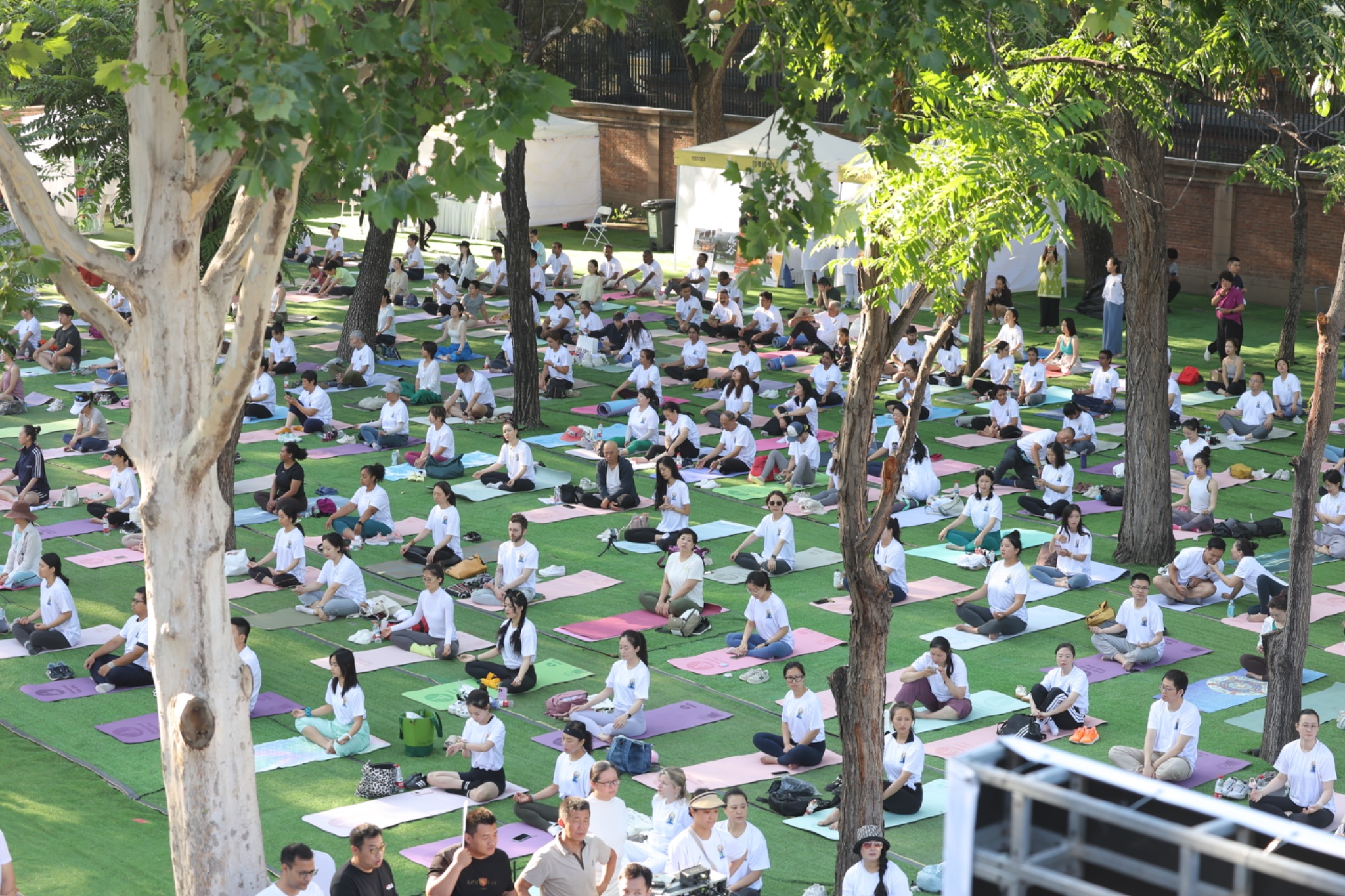 From Beijing to Shanghai, several Chinese cities celebrate International Day of Yoga