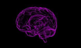 Study finds common gene variant that doubles dementia risk for men