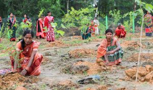 PM Modi hails grassroots green initiatives, calls 'Ek Ped Maa Ke Naam' movement for future generations