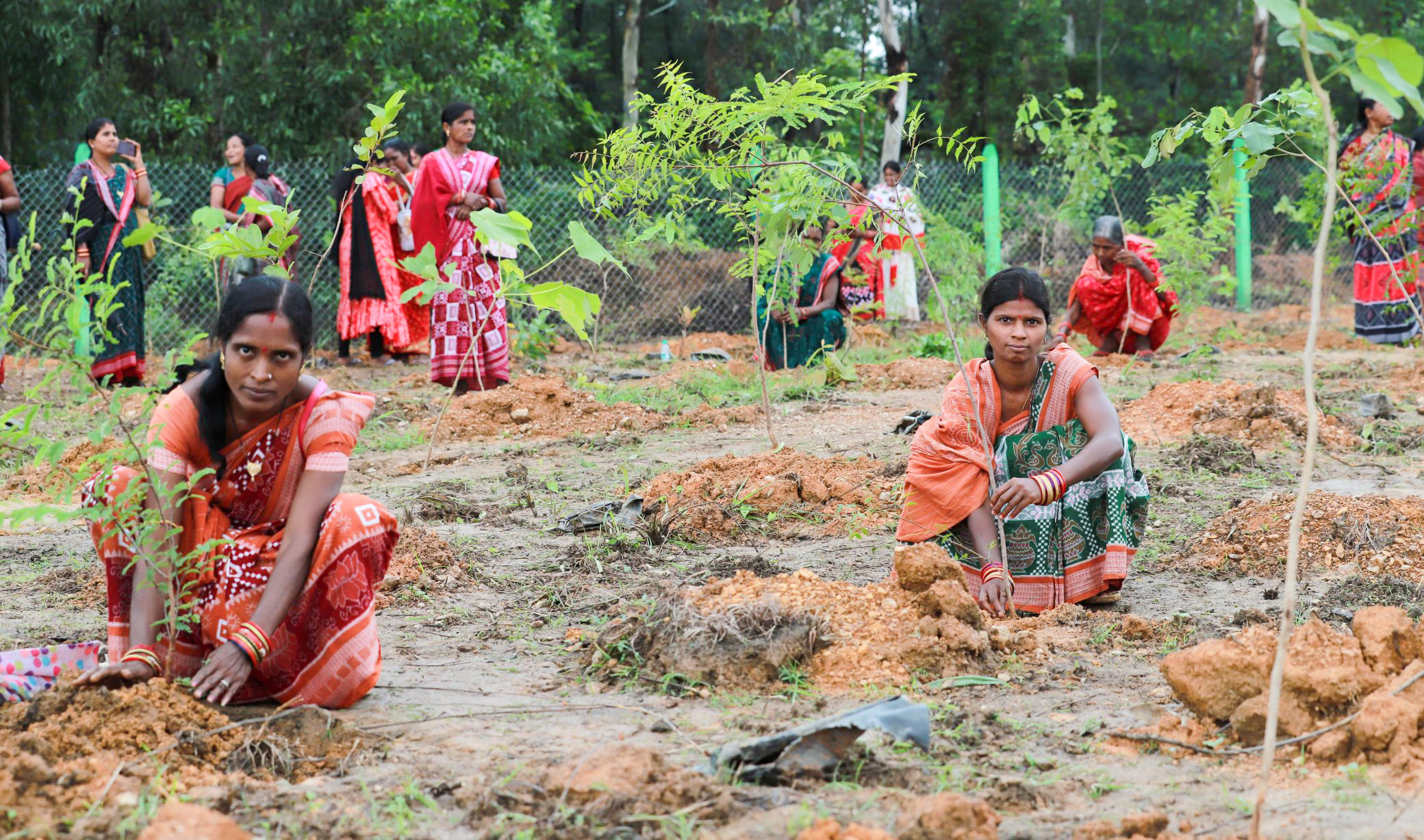 PM Modi hails grassroots green initiatives, calls ‘Ek Ped Maa Ke Naam’ movement for future generations