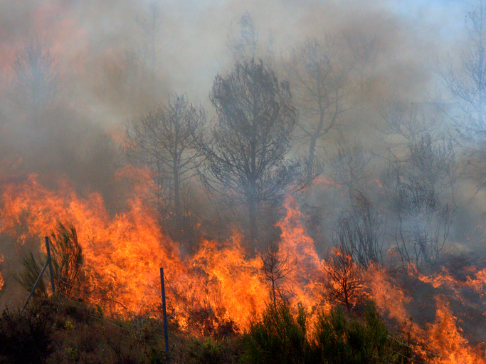 Wildfires burn in Turkey and France as early heatwave hits