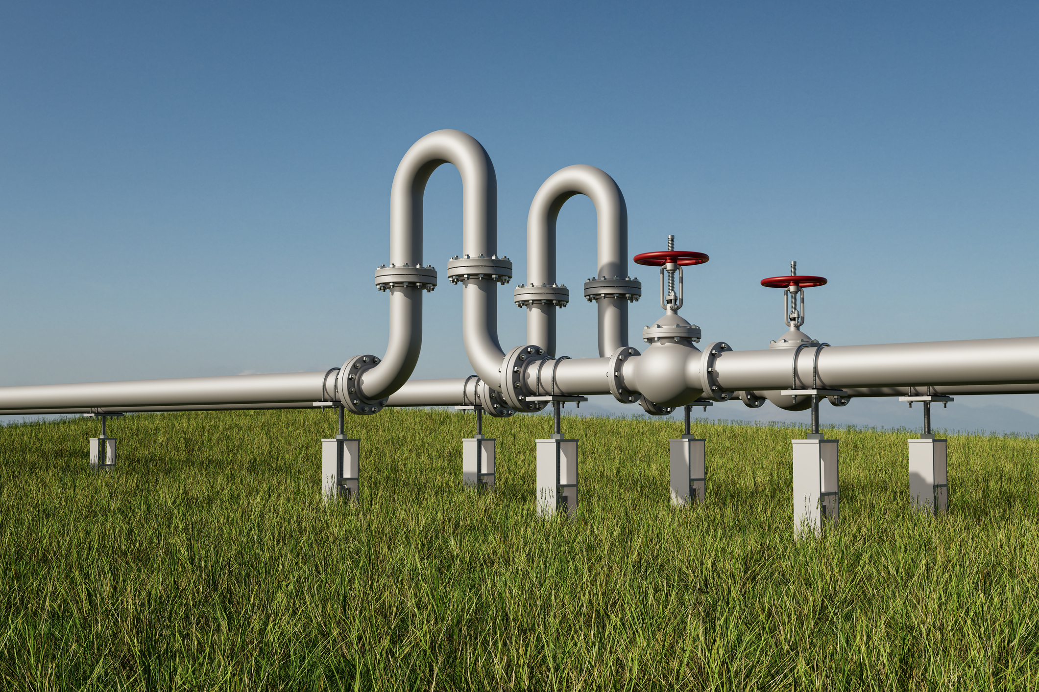 India goes green: landmark tender to fuel fertilizers with clean ammonia