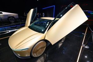 Tesla's public robotaxi rides set for tentative June 22 start, CEO Musk says