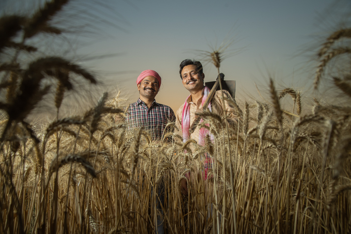 India’s agriculture and alied sectors show robust growth, reports MoSPI