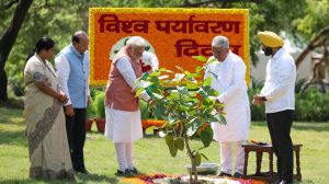 PM Modi plants sapling in Delhi, pushes Aravalli Green Wall Project on World Environment Day