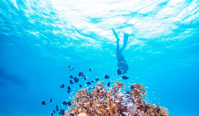 France, Brazil launch initiative to scale up ocean-focused climate action