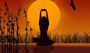 PM Modi shares article on yoga, healthy ageing ahead of International Yoga Day 2026