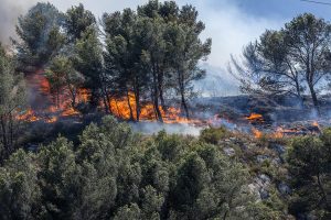 Wildfire loses intensity in southern France, firefighters continue battle